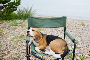 Similar image 22049608