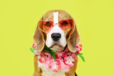 Similar image 22049612