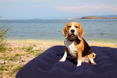 Similar image 22049613