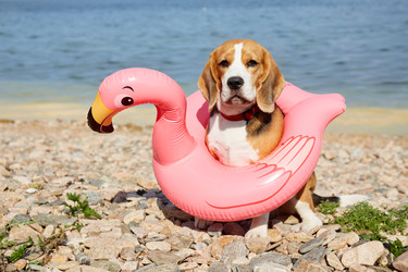 Similar image 22049615