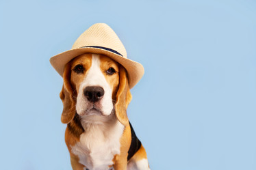 Similar image 22049618