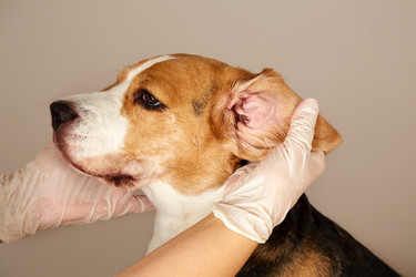 Similar image 22049624