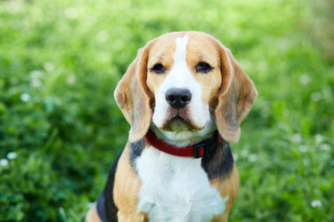 Similar image 22049625