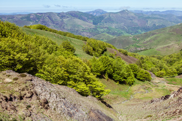 Similar image 22042460