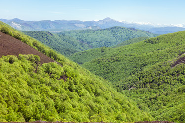 Similar image 22042462