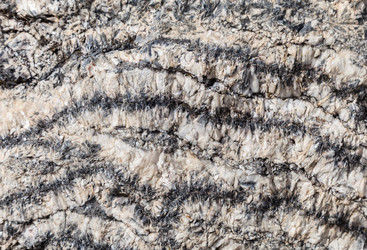 Similar image 22042867