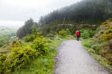 Similar image 22042871