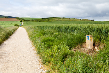 Similar image 22042883