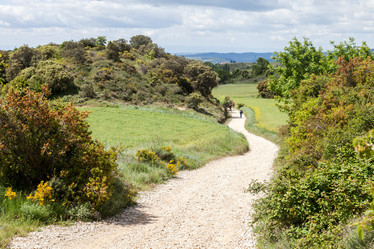 Similar image 22042893