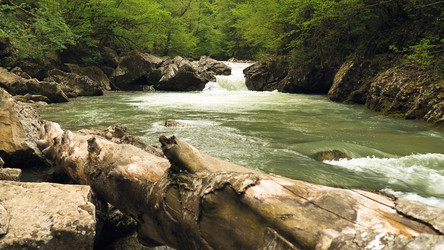 Similar image 22050833