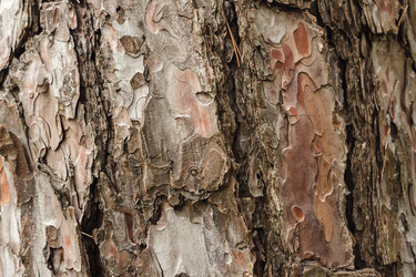 Similar image 22050834