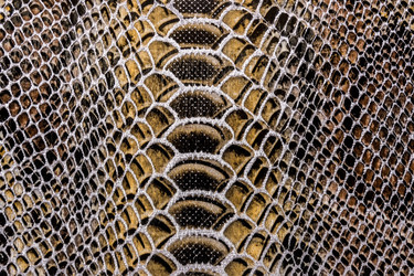 Similar image 22043252