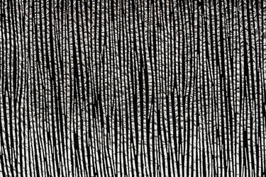 Similar image 22043256