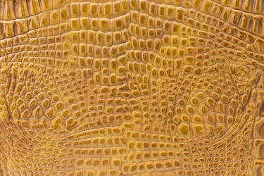 Similar image 22043261