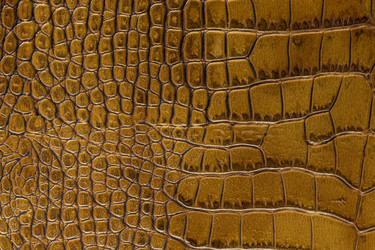 Similar image 22043263