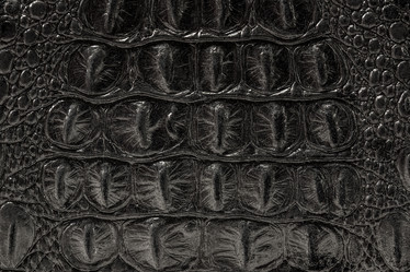 Similar image 22043264