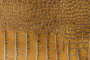 Similar image 22043265