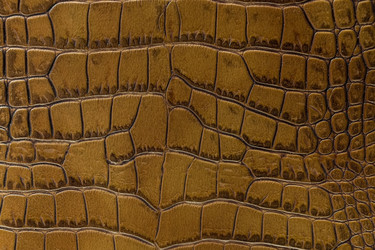 Similar image 22043267