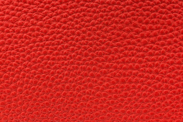 Similar image 22043269