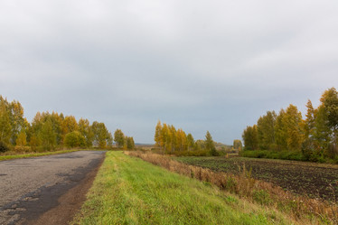 Similar image 22043297