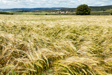 Similar image 22043074