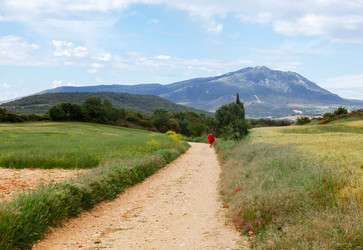 Similar image 22041800