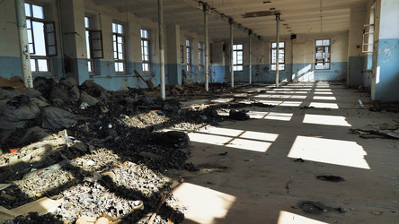 Similar image 22042718