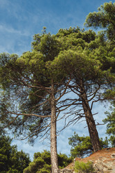 Similar image 22042314