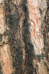 Similar image 22050686