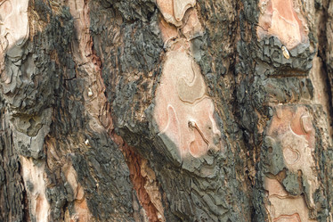 Similar image 22044753