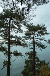 Similar image 22050690