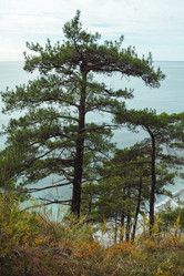 Similar image 22050691