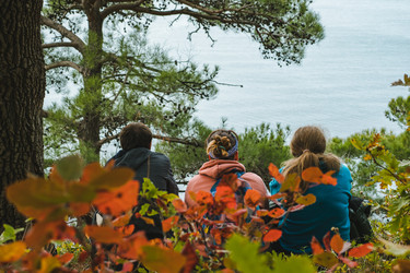 Similar image 22050693