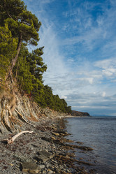 Similar image 22050694