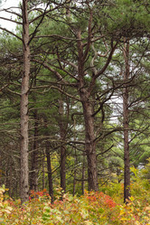 Similar image 22044755