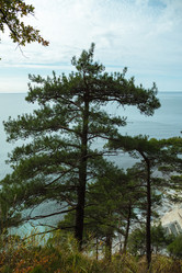 Similar image 22050698