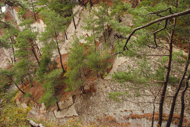 Similar image 22050700