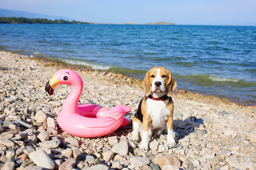 Similar image 22049629