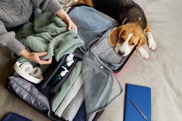 Similar image 22049630