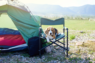 Similar image 22049631