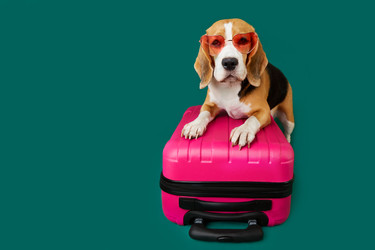 Similar image 22049633