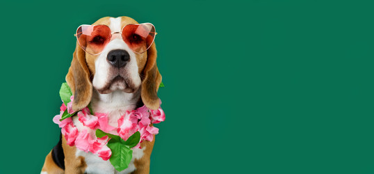 Similar image 22049635