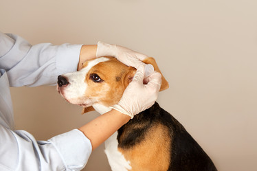 Similar image 22049642