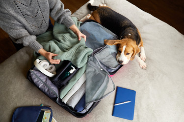 Similar image 22049648