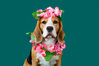 Similar image 22049649