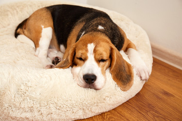 Similar image 22049650