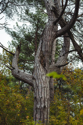 Similar image 22042725