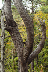 Similar image 22042727