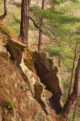 Similar image 22042316