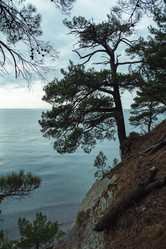 Similar image 22050843